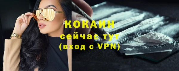 эйфоретик Арсеньев