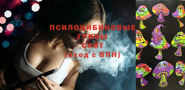 ГАЛЛЮЦИНОГЕННЫЕ ГРИБЫ Баксан