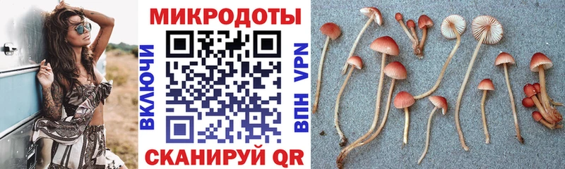 Галлюциногенные грибы Cubensis  закладка  Крым 